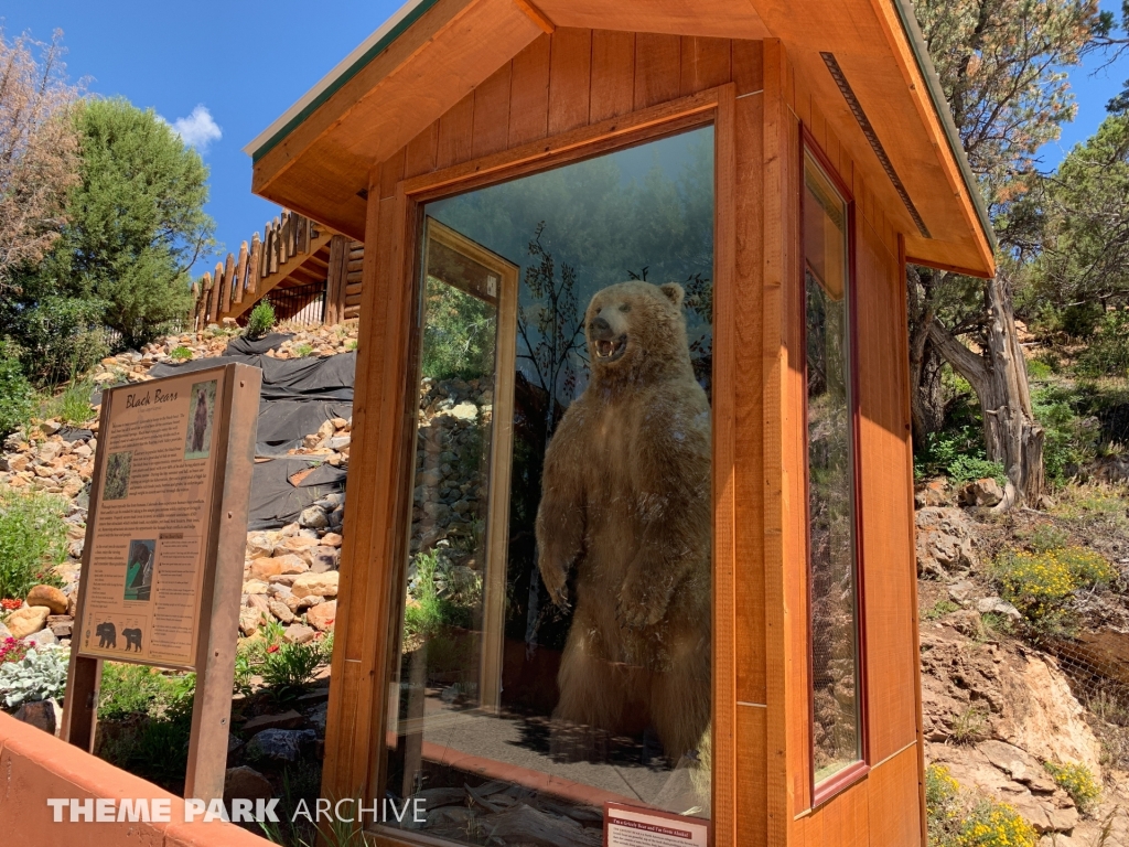 Misc at Glenwood Caverns Adventure Park