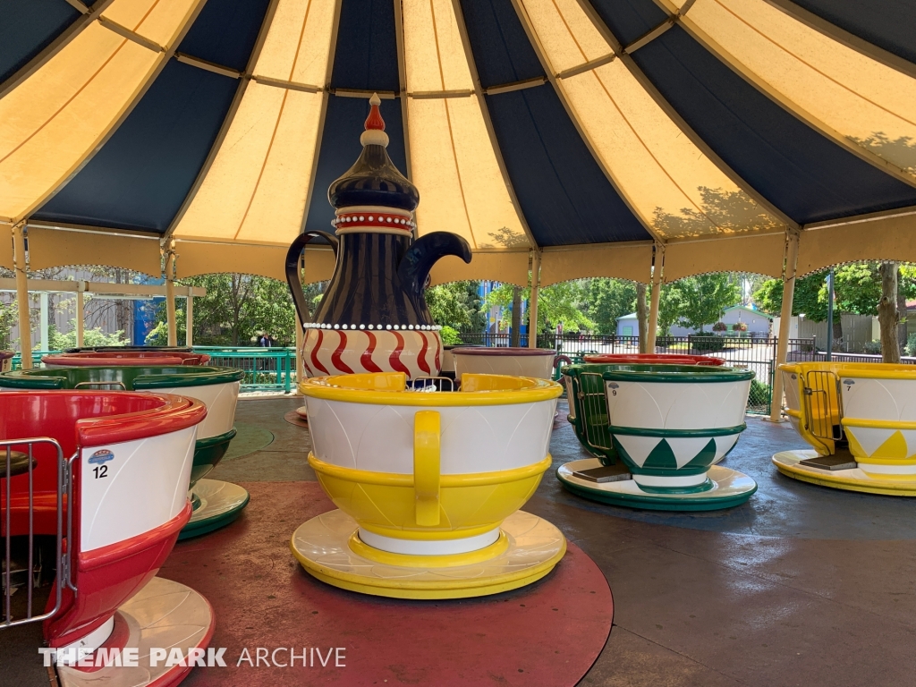 Tea Cups at Elitch Gardens