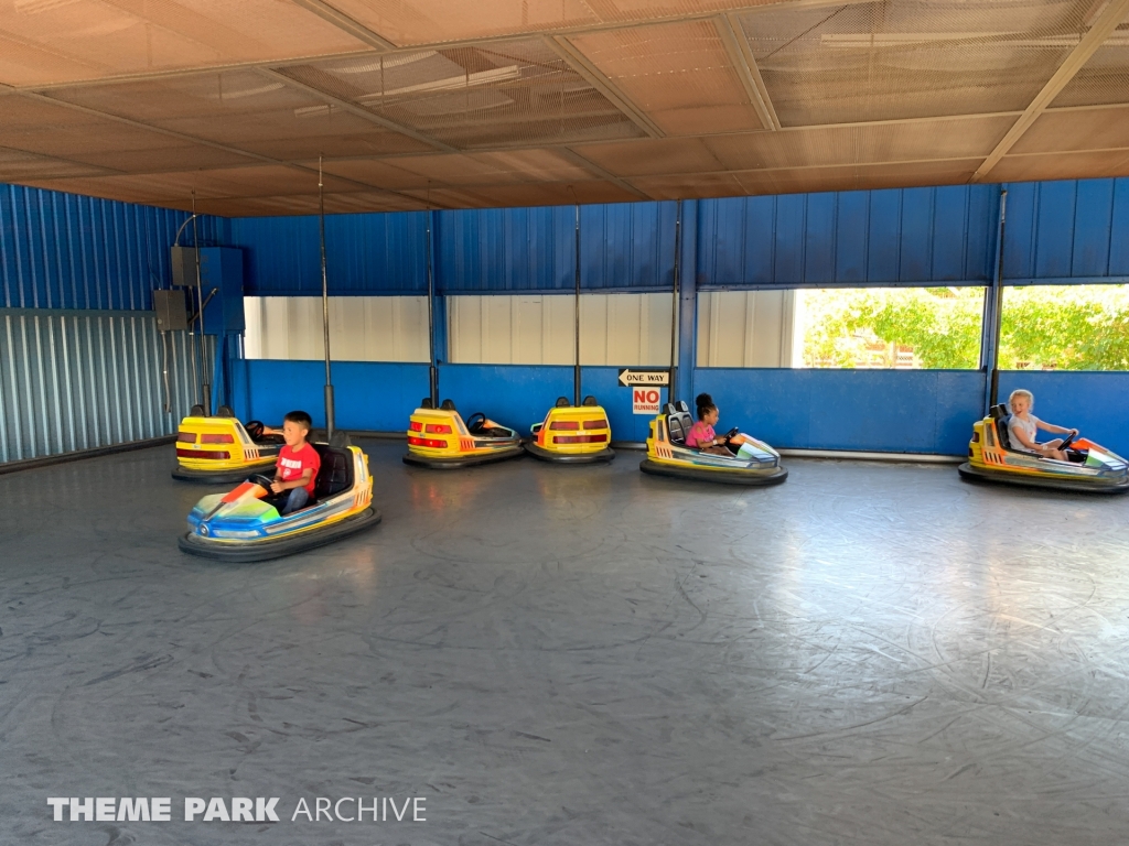 Kiddy Bumper Cars at Cliff's Amusement Park