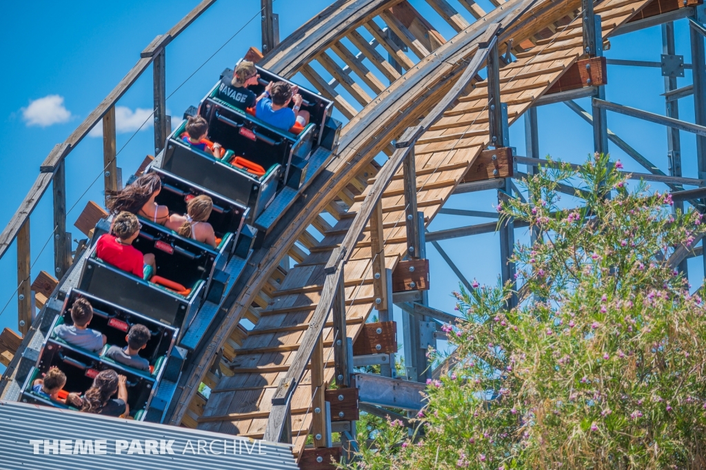 New Mexico Rattler at Cliff's Amusement Park