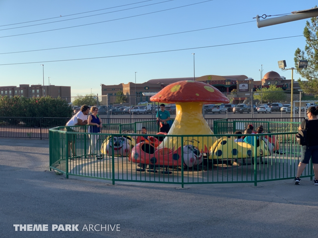 Granny Bugs at Western Playland