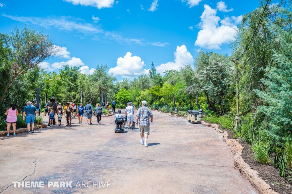 Star Wars: Galaxy's Edge at Disney's Hollywood Studios