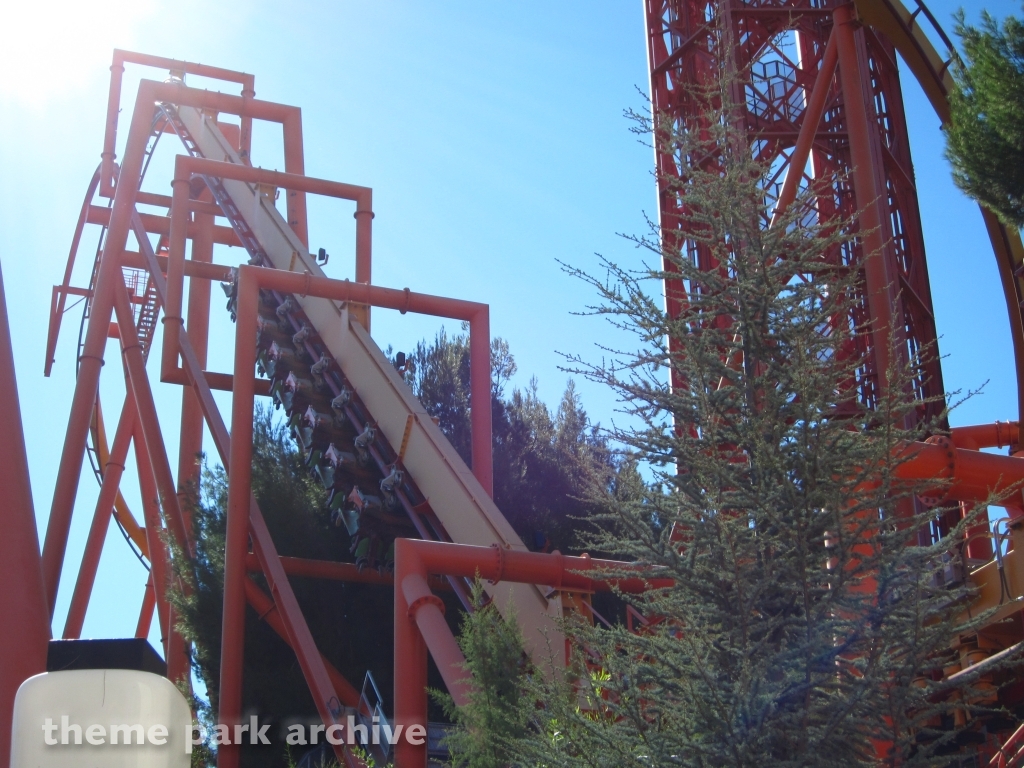 Tatsu at Six Flags Magic Mountain