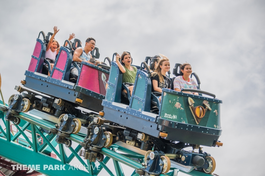 Cobra's Curse at Busch Gardens Tampa