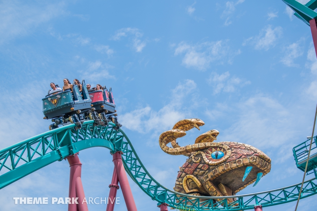 Cobra's Curse at Busch Gardens Tampa