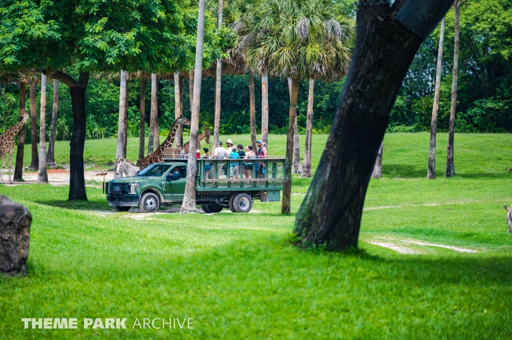 Serengeti Plain at Busch Gardens Tampa