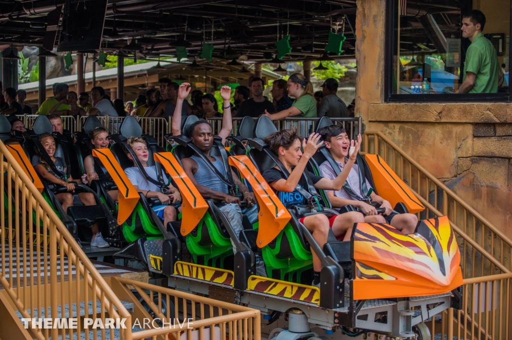 Tigris at Busch Gardens Tampa