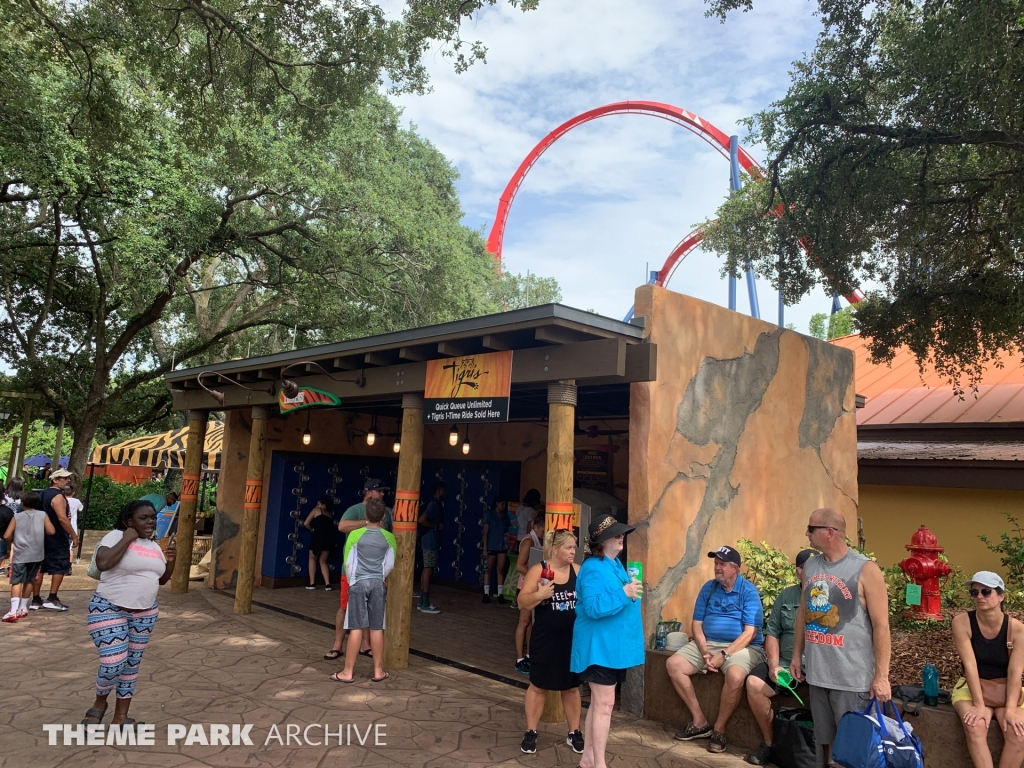 Tigris at Busch Gardens Tampa