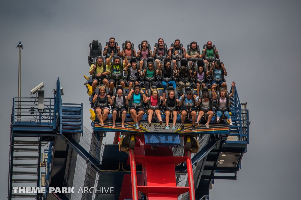 Sheikra at Busch Gardens Tampa