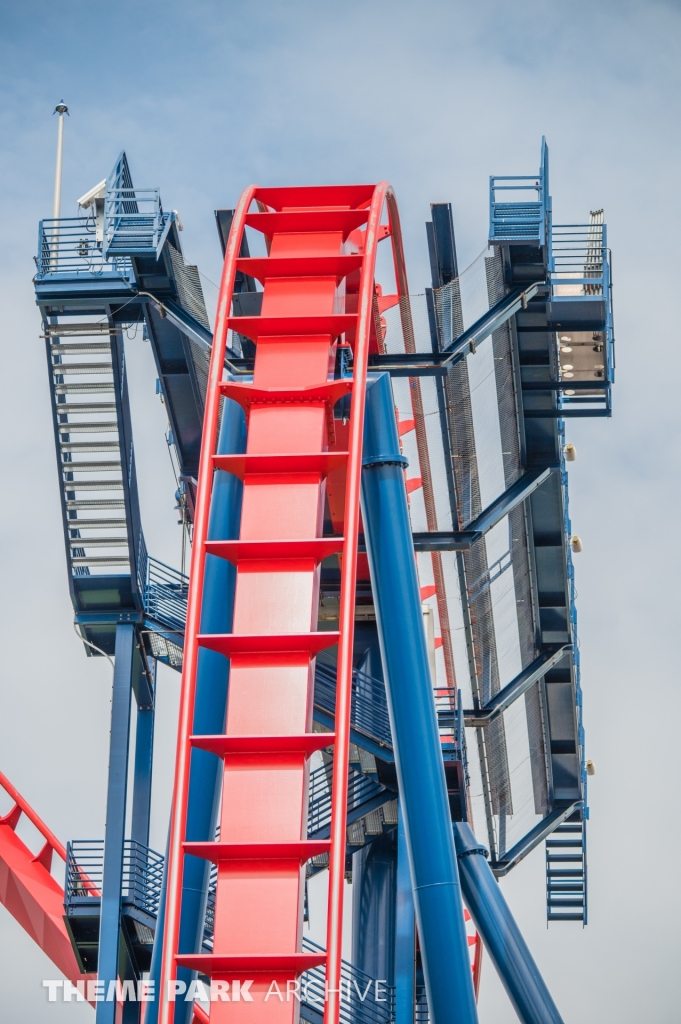 Sheikra at Busch Gardens Tampa