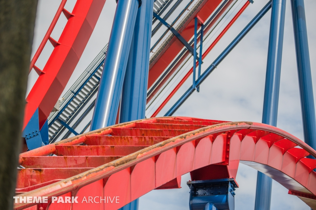 Sheikra at Busch Gardens Tampa