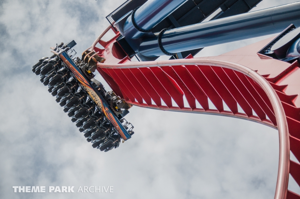 Sheikra at Busch Gardens Tampa