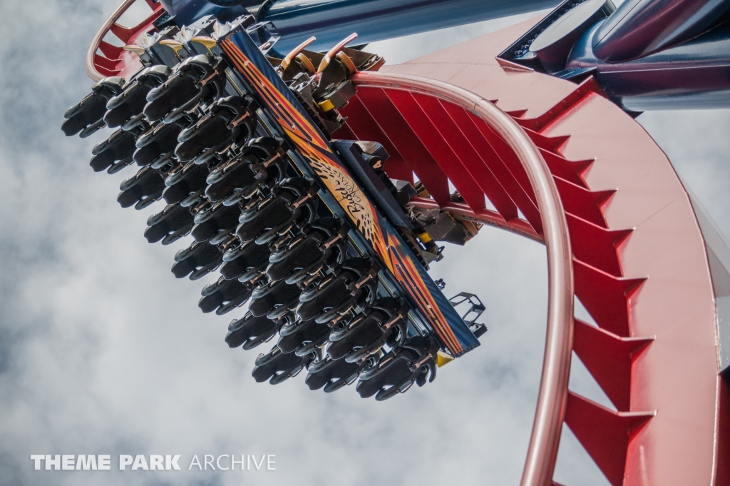 Sheikra at Busch Gardens Tampa