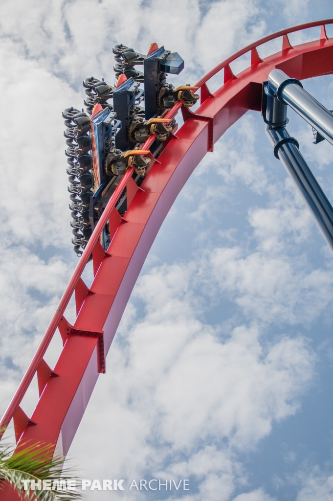 Sheikra at Busch Gardens Tampa