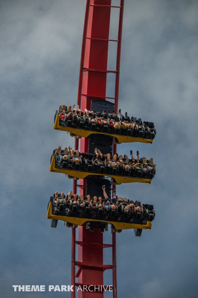 Sheikra at Busch Gardens Tampa