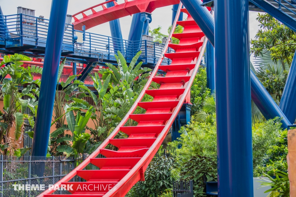 Sheikra at Busch Gardens Tampa