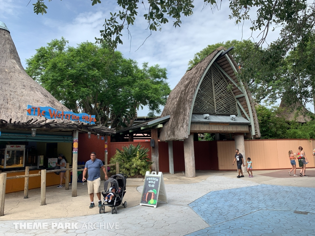 Iron Gwazi At Busch Gardens Tampa Theme Park Archive