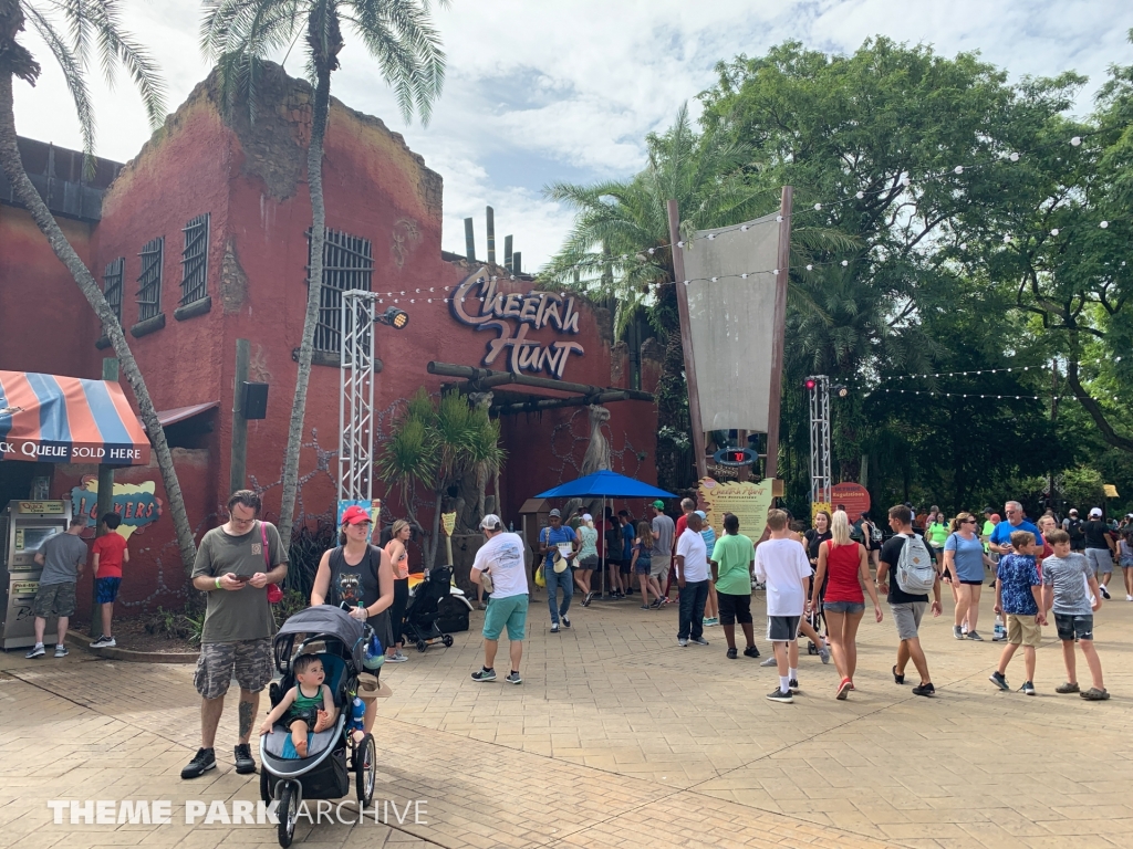 Cheetah Hunt at Busch Gardens Tampa