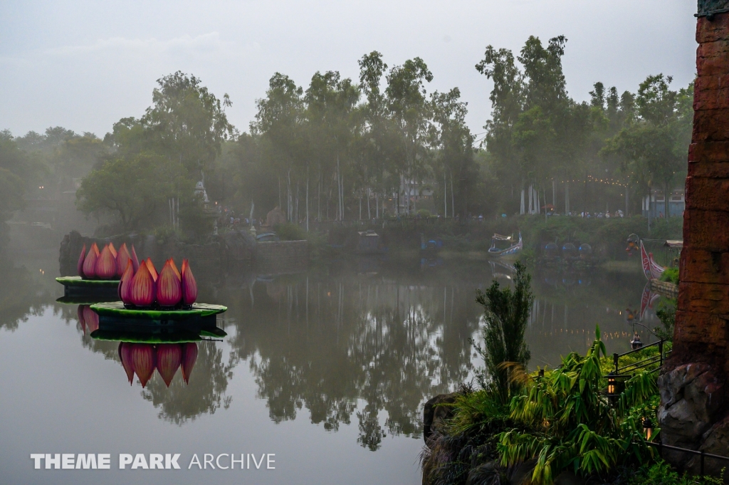 Rivers of Light at Disney's Animal Kingdom