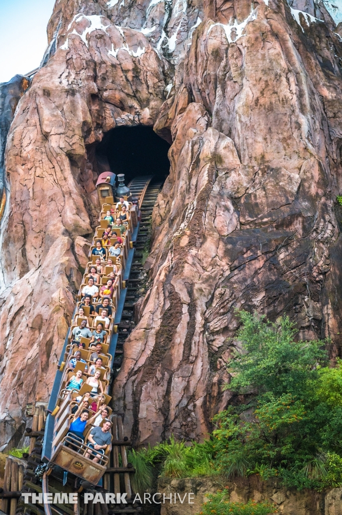 Expedition Everest at Disney's Animal Kingdom