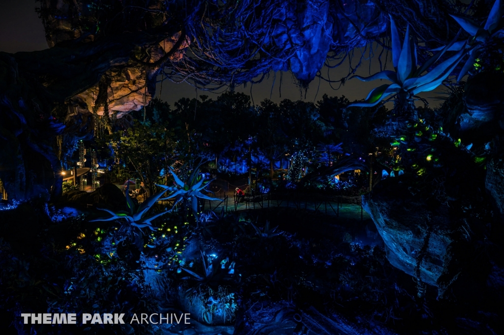 Pandora: The World of Avatar at Disney's Animal Kingdom