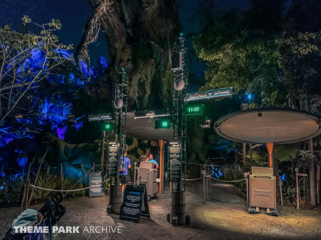 Avatar Flight of Passage at Disney's Animal Kingdom