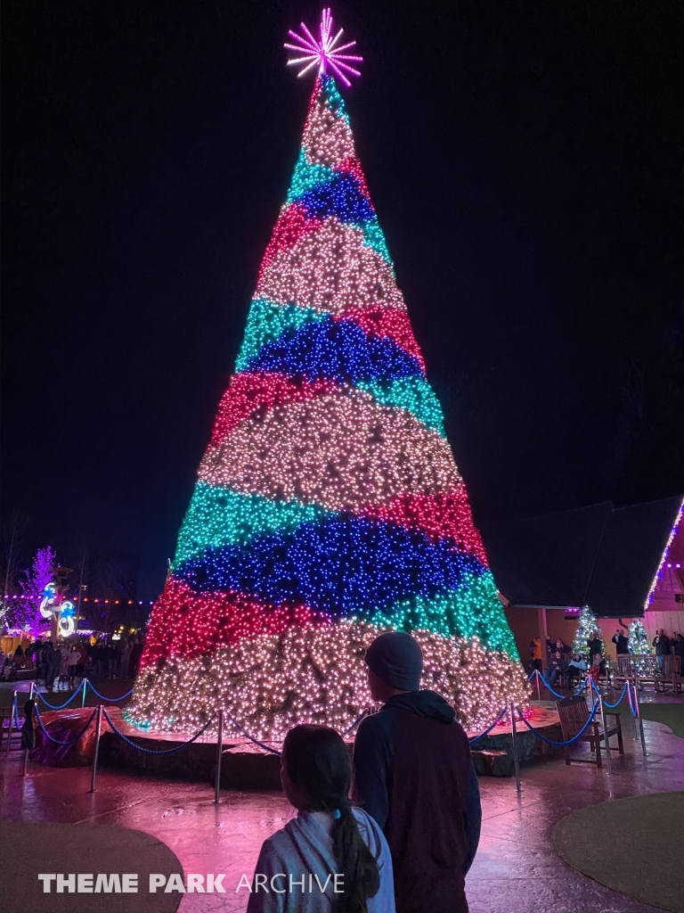 Plaza at Wilderness Pass at Dollywood