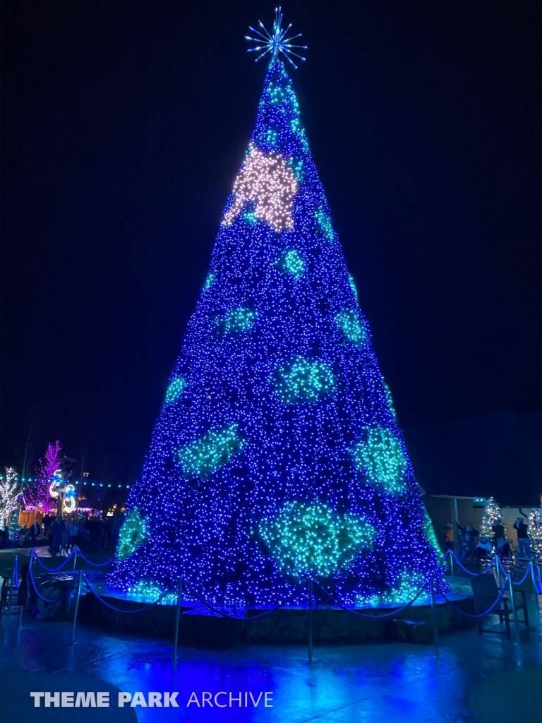 Plaza at Wilderness Pass at Dollywood