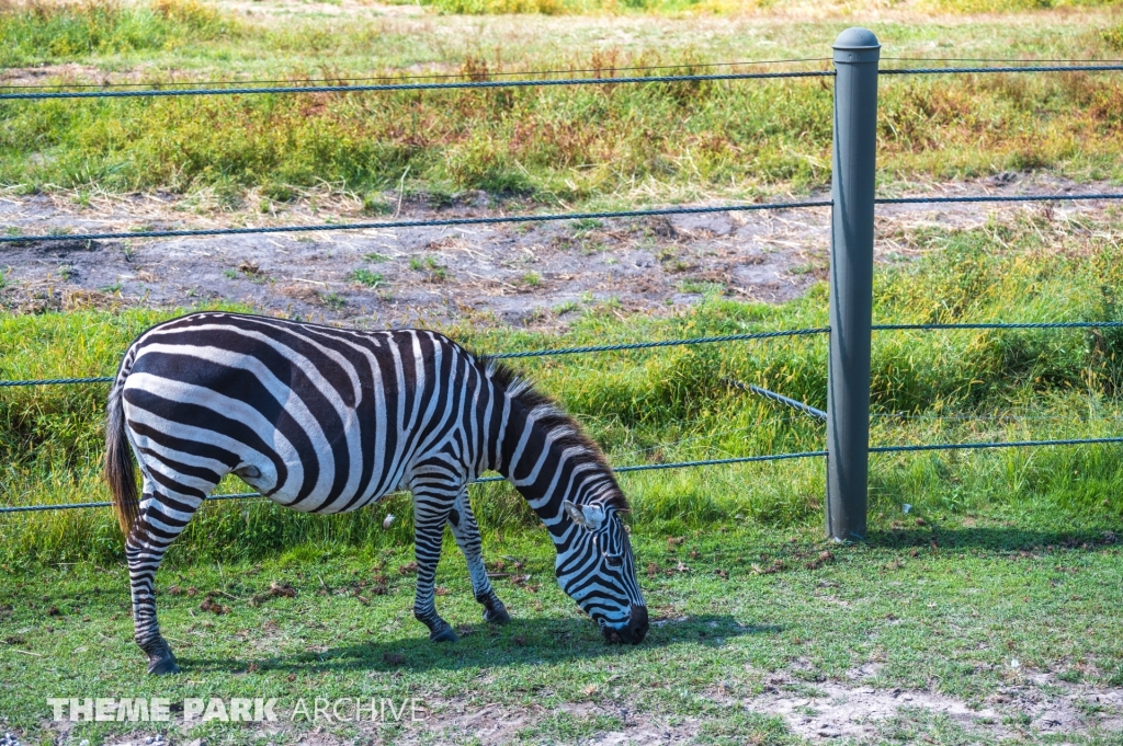 Safari Off Road Adventure at Six Flags Great Adventure