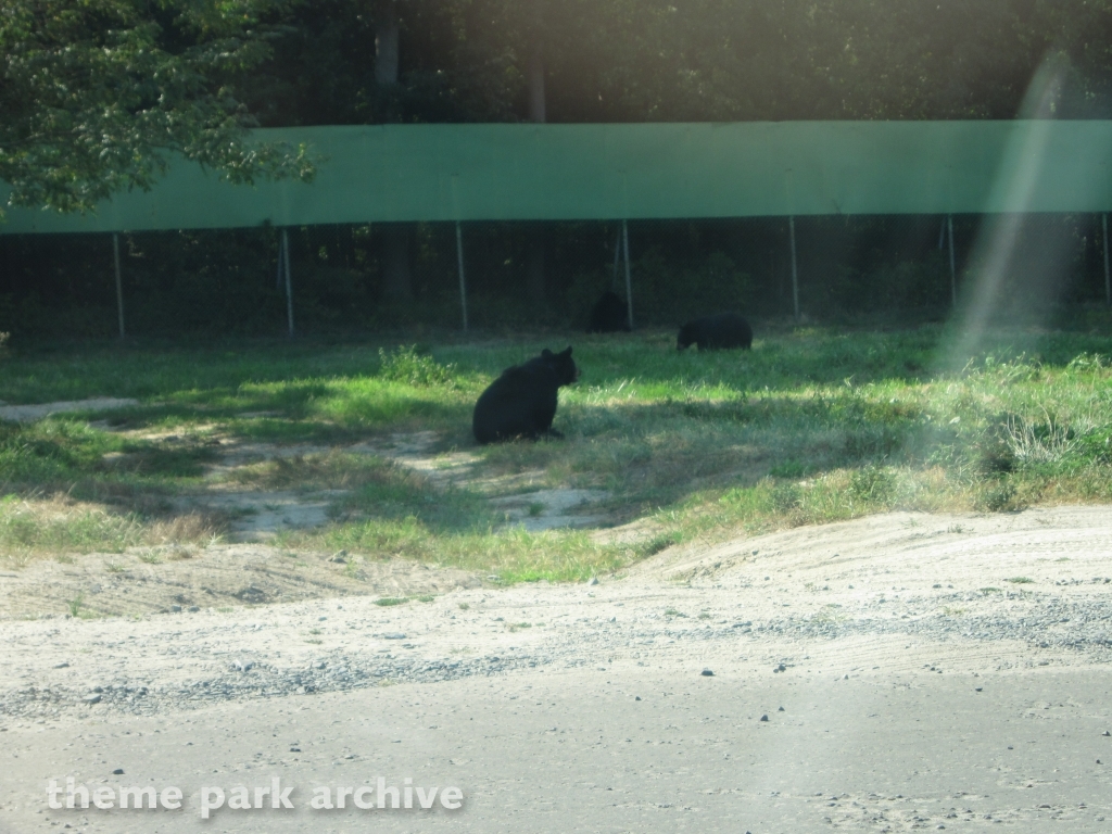 Wild Safari at Six Flags Great Adventure