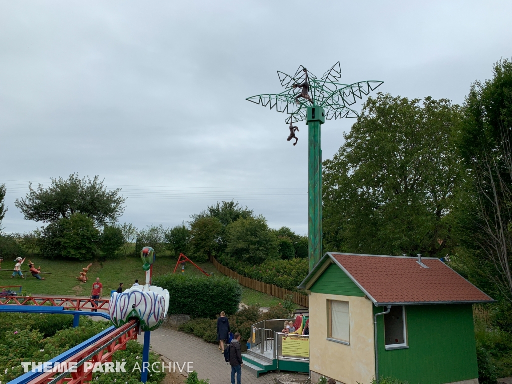 Verruckte Palme at Schwaben Park