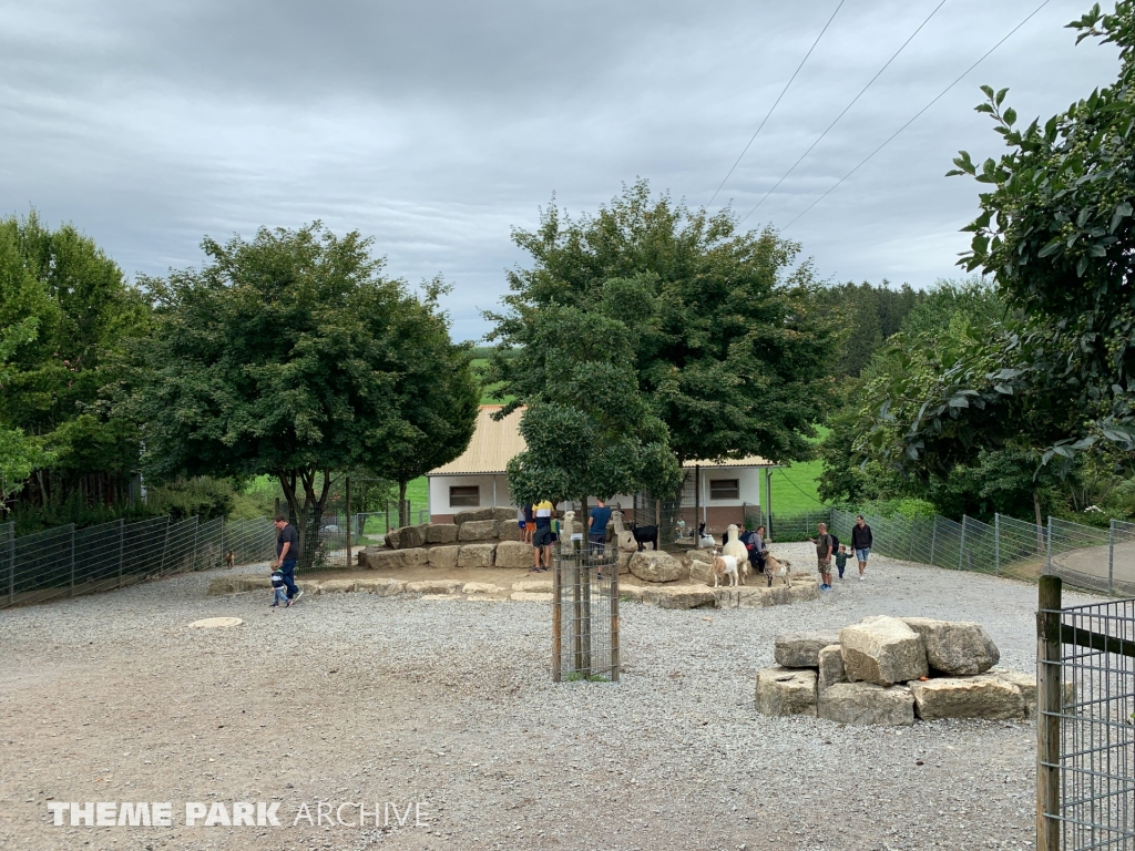 Streichelzoo at Schwaben Park