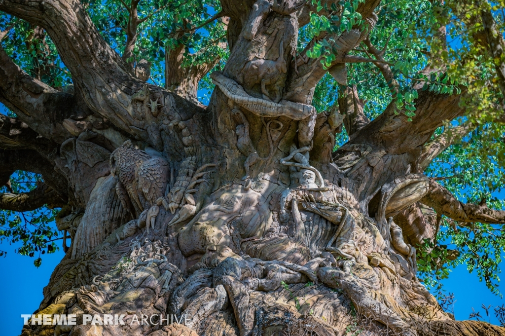 Discovery Island at Disney's Hollywood Studios