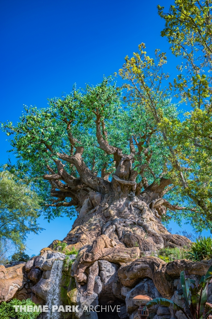 Discovery Island at Disney's Hollywood Studios