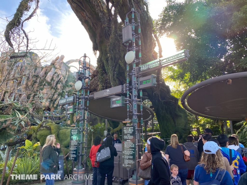 Avatar Flight of Passage at Disney's Hollywood Studios