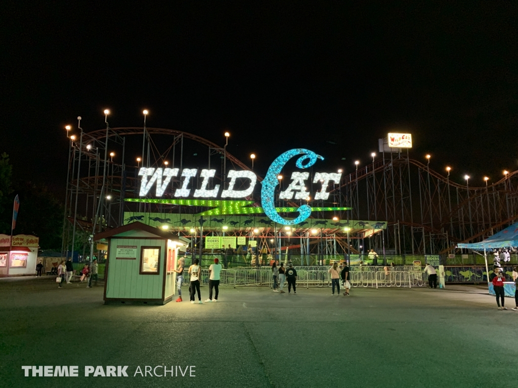 Wild Cat at Washington State Fair