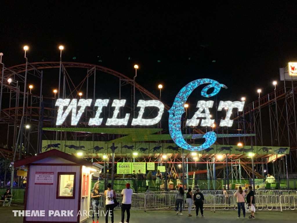 Wild Cat at Washington State Fair