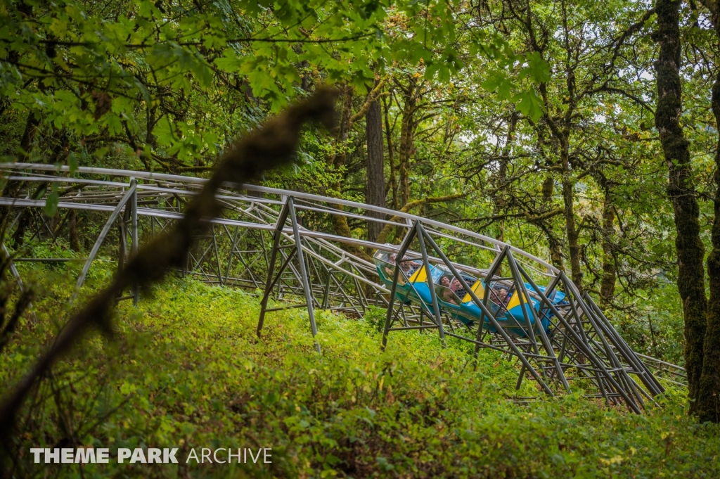 Ice Mountain Bobsled Roller Coaster at Enchanted Forest