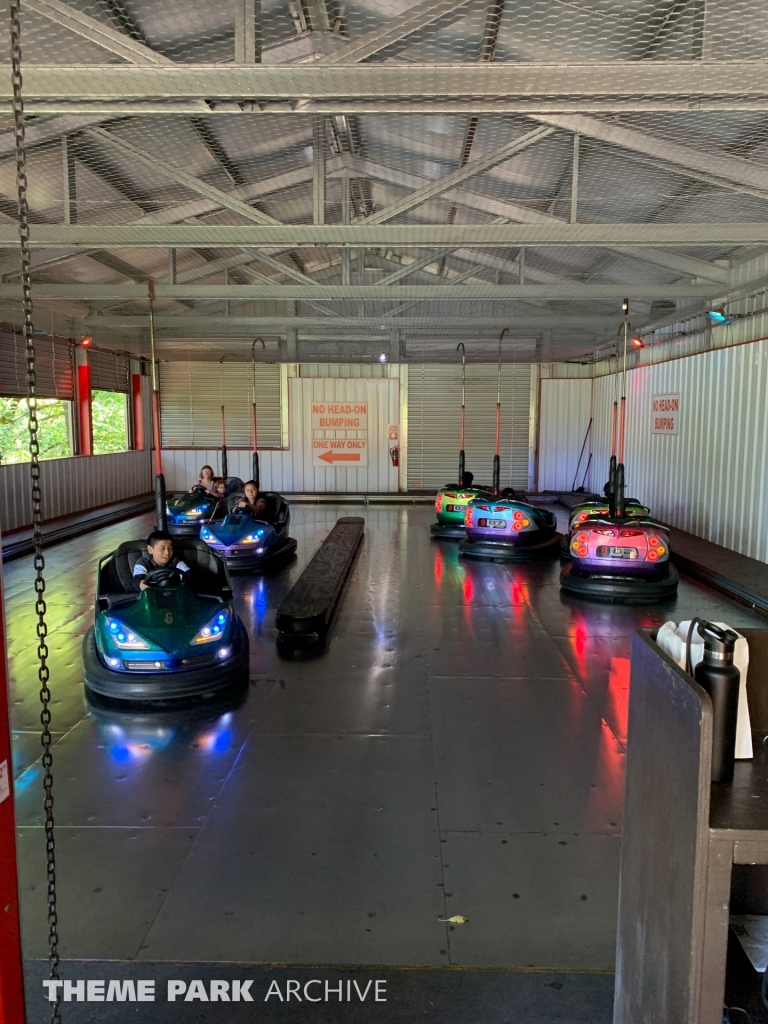 Speedway Bumper Cars at Enchanted Forest