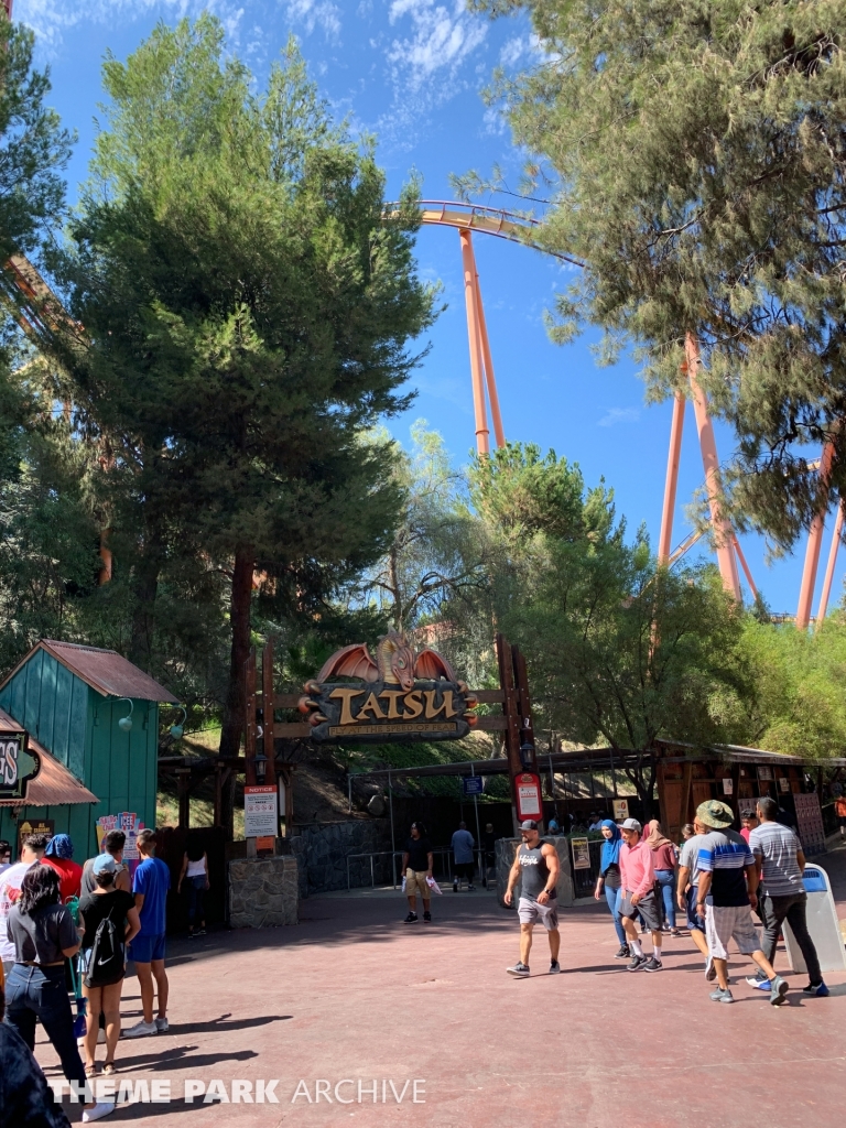 Tatsu at Six Flags Magic Mountain