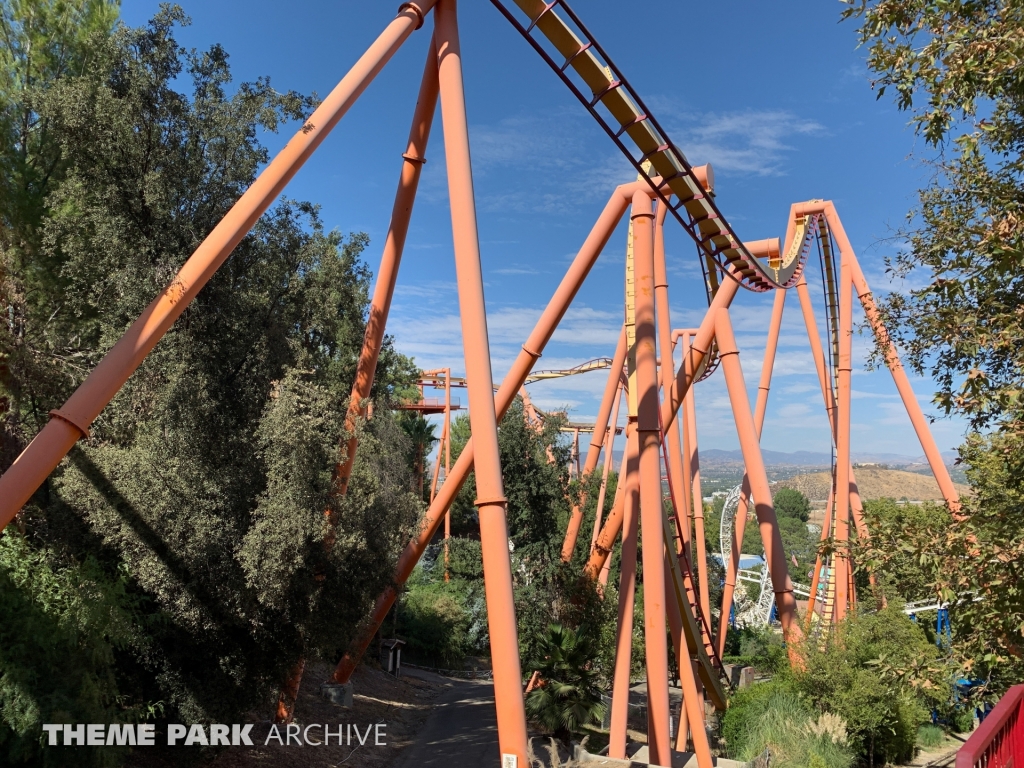 Tatsu at Six Flags Magic Mountain