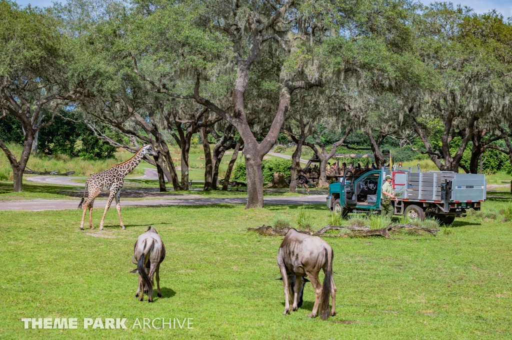 Kilimanjaro Safaris at Disney's Animal Kingdom