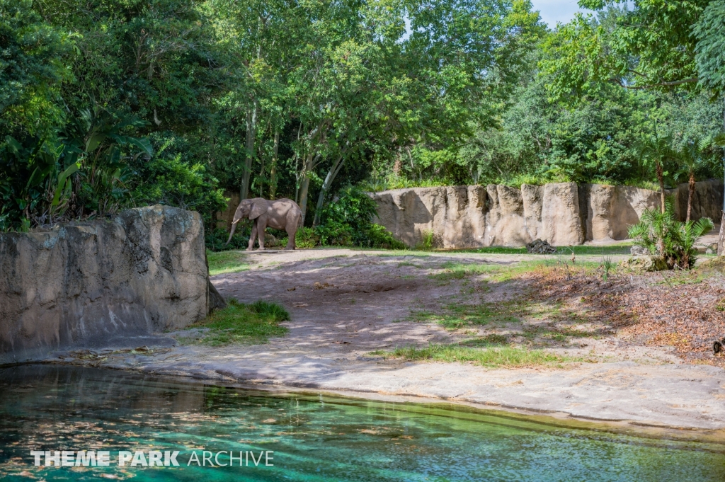 Kilimanjaro Safaris at Disney's Animal Kingdom