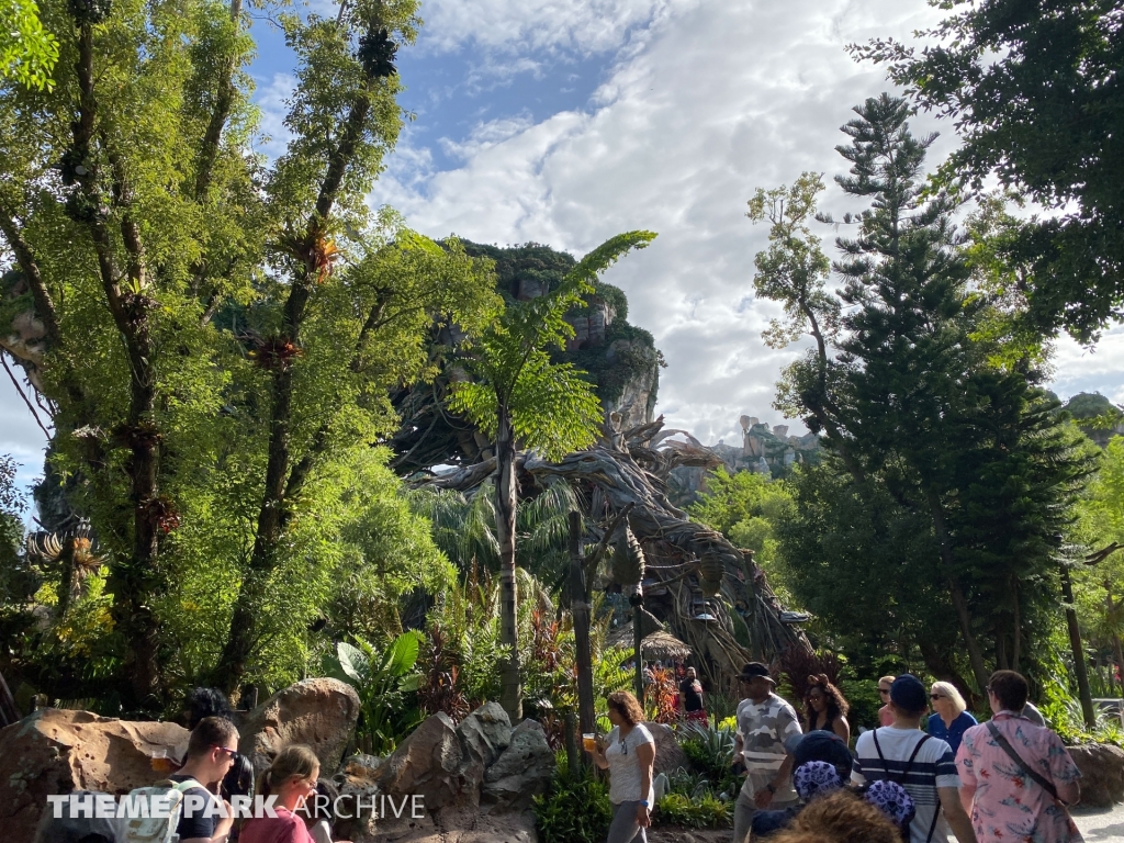 Pandora: The World of Avatar at Disney's Animal Kingdom