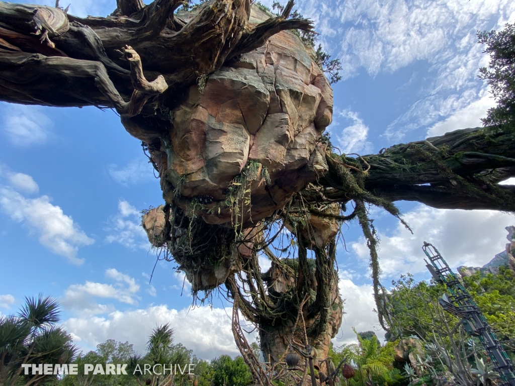 Pandora: The World of Avatar at Disney's Animal Kingdom