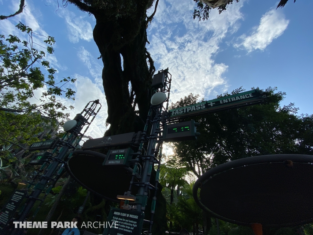 Pandora: The World of Avatar at Disney's Animal Kingdom