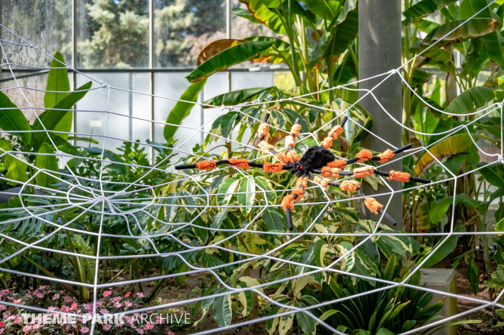 Monarch Garden at Gilroy Gardens