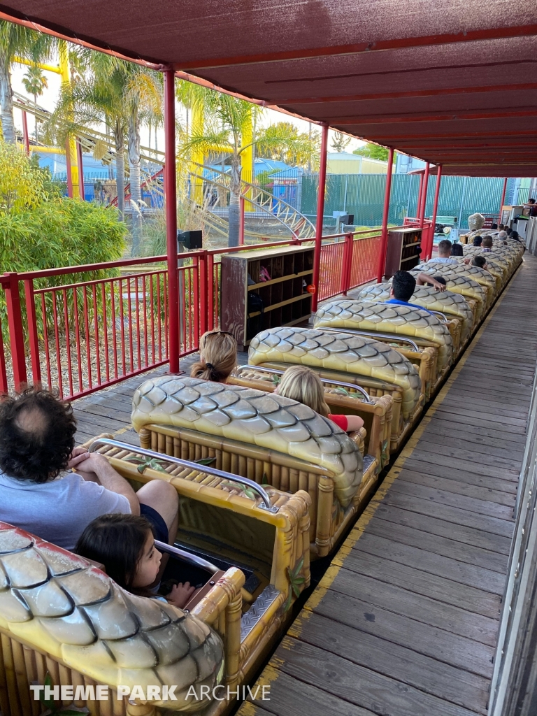 Cobra at Six Flags Discovery Kingdom