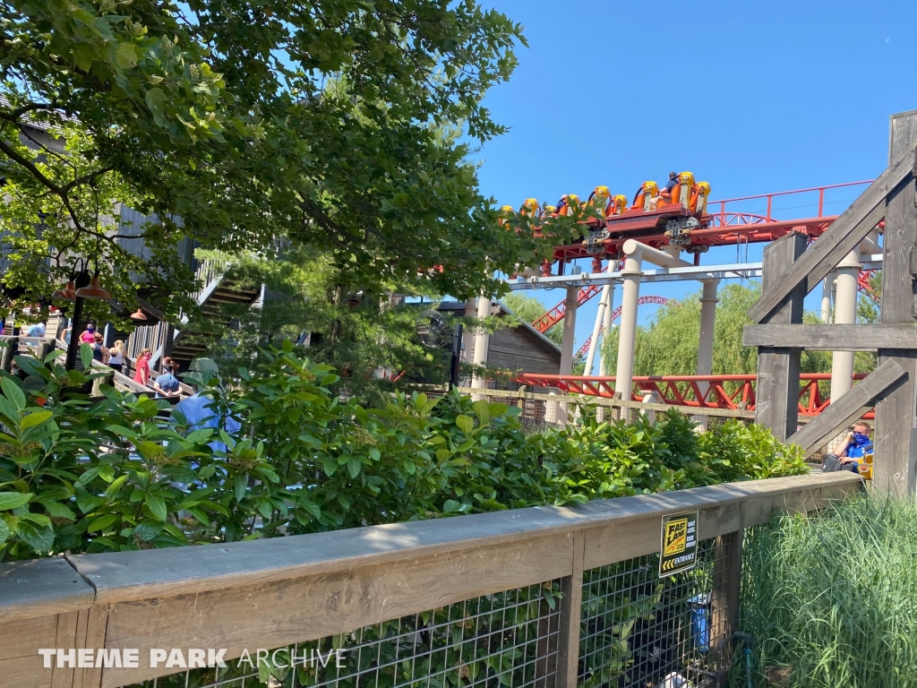 Maverick at Cedar Point