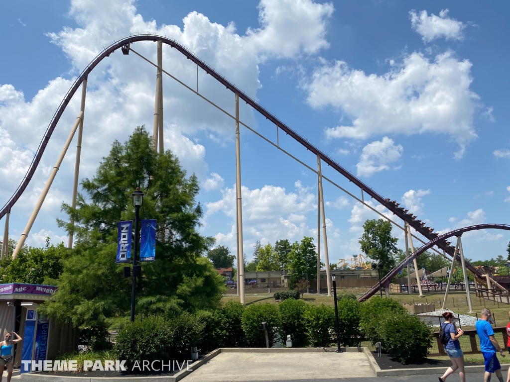 Diamondback at Kings Island